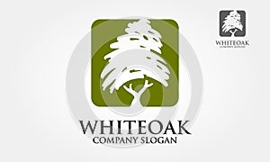 White Oak Tree Logo Template.
