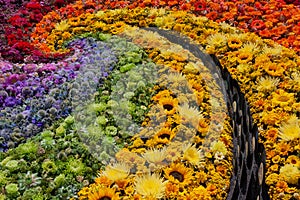 Background with lots of colorful flowers. Floristic