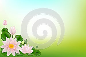 Background with Lotuses