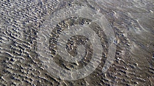 Low tide spring beach dark