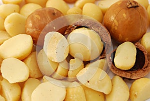 Background of macadamia nuts photo