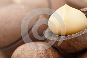 background macadamia nuts