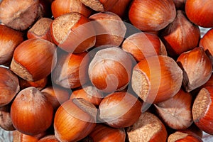 Background macro photo of hazelnuts close-up