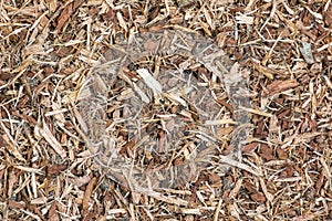 Background made of dried brown oak bark for medical use. Oak bark backdrop. Quercus cortex - herb