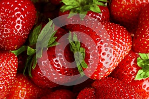 Background made from many red juicy fresh strawberries