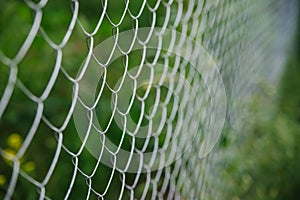 The background is made of metal mesh. A fence on a garden plot. Blurred background
