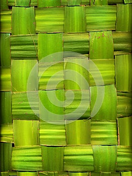 Background made of palm leaves