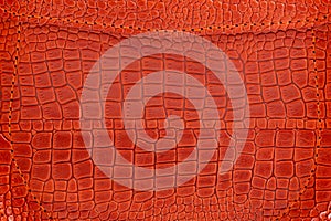 Background is made of red crocodile skin. Leather bag close-up