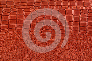Background is made of red crocodile skin. Leather bag close-up