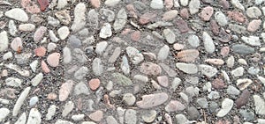 The background is made of rocks mixed with sand to form an abstract pattern