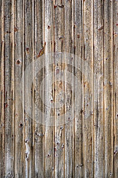 Background made of a textured old wood 6