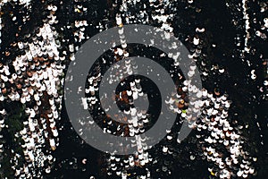 Background made of two-sided sequins