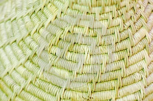 Background made from Vetiver Grass (Vetiveria ziza photo
