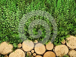 The background is made of wood and surrounded by plants and grass.