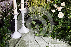 Background with magic plants from the garden