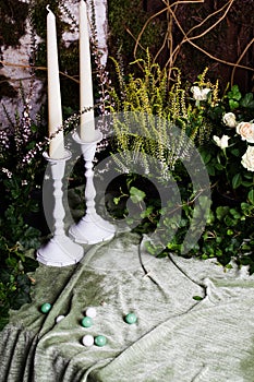 Background with magic plants from the garden