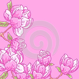 Background with magnolia. Beautiful decorative plants.