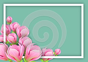 Background with magnolia for horizontal design