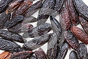 Background - many dried tonka beans close up