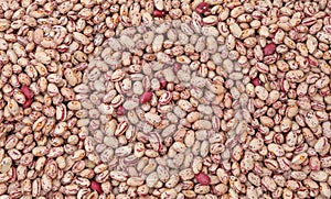 background of many fresh beans