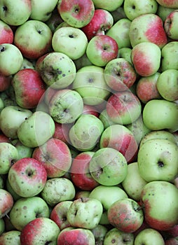 background of many organic apples