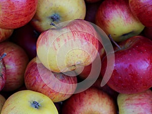 Background of many red ripe apples