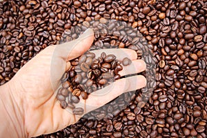 Background with many small coffee beans in the hand photo