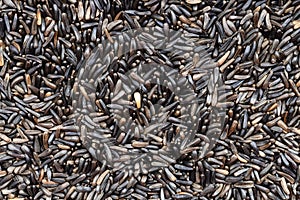 Background - many whole-grain niger seeds