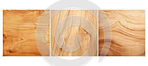 background maple wood texture grain