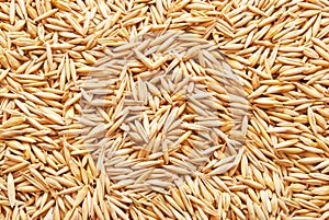 Background from mature grains of wheat