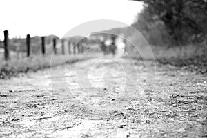 Background: Melancholy Dirt Road/Path in rainy Winter Weather with very shallow depht of field in Black and White