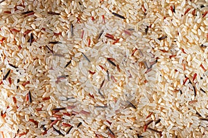 The background is from a mixture of wild, brown, red, white rice. Different varieties of rice