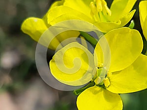 Background mobile wallpaper