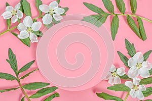 Background mock up greeting card, place for an inscription with a frame of flowers on a pink background