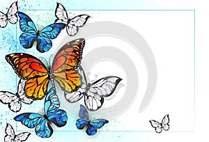 Background with monarchs and morpho