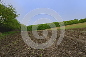 Background of Moravian fields. Landscape in spring. Moravian Tuscany, south Moravia, Czech Republic, Europe.