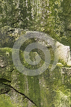 Background mossy limestone rock