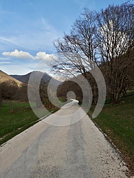 Background of a mountain meadow, typical Italian ambient