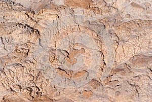 Background - mud in a dried riverbed