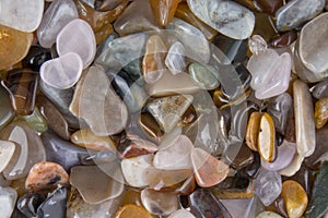 Background from multicolored polished stones background