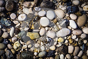 Background of multicolored sea pebbles on the beach. Small color wet stones gravel texture background