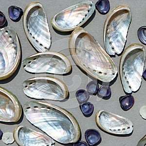 Background with nacre seashells photo