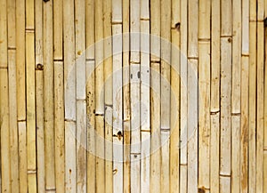 Background with natural bamboo pattern