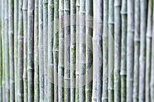 Background with natural bamboo pattern