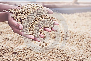 Background natural dried beans, coffee bean. Coffee in hand