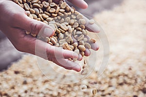 Background natural dried beans, coffee bean. Coffee in hand