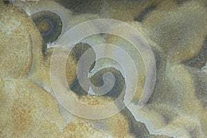 Background from a natural stone Onyx with bubbles and gray stains on the surface, onix naranja veteado photo
