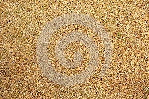Background. The natural texture of hay.