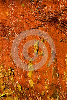 Background natural wet orange stone wall texture