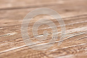 Background of natural wood.